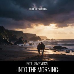 Into The Morning