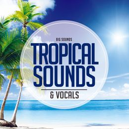 Big Sounds Tropical Sounds &amp; Vocals