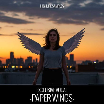 Paper Wings