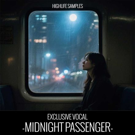 Midnight Passenger