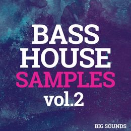 Big Sounds Bass House Samples Vol.2