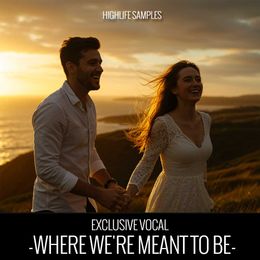 Where We&#x27;re Meant to Be