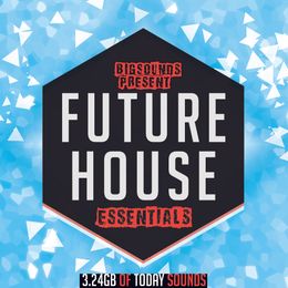 Big Sounds Future House Essentials