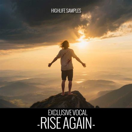 Rise Again