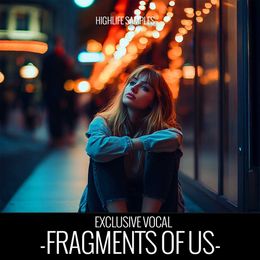 Fragments of us