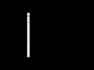 Farfetch A4 Template 