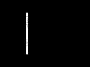Apple A4 Template 
