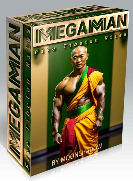 MegaMan 5 Tibetan rites