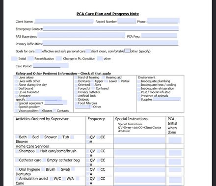 Electronic Fillable PCA Care Plan and Progress Note