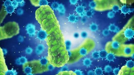 Infection Control Plan Policies
