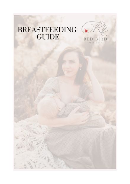 Breastfeeding Guide