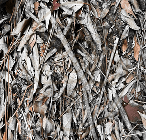 Ancient Surfaces — Fallen Archive: Ember Lattice