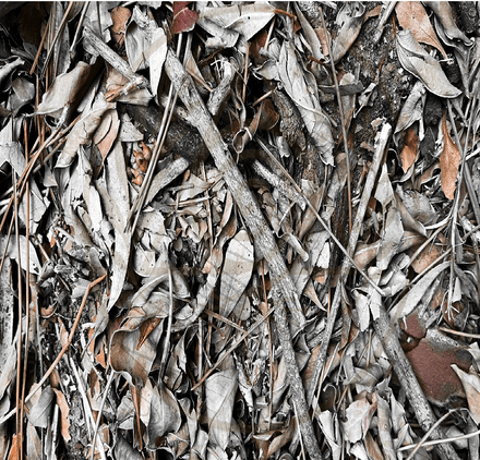 Ancient Surfaces — Fallen Archive: Ember Lattice