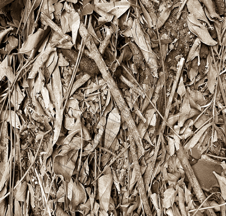 Ancient Surfaces — Fallen Archive: Dust Concord