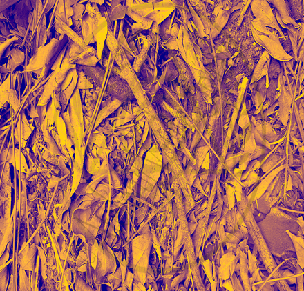 Ancient Surfaces — Fallen Archive: Gilded Descent