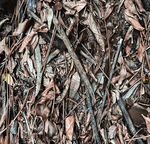 Ancient Surfaces — Fallen Archive: Crossing Relic