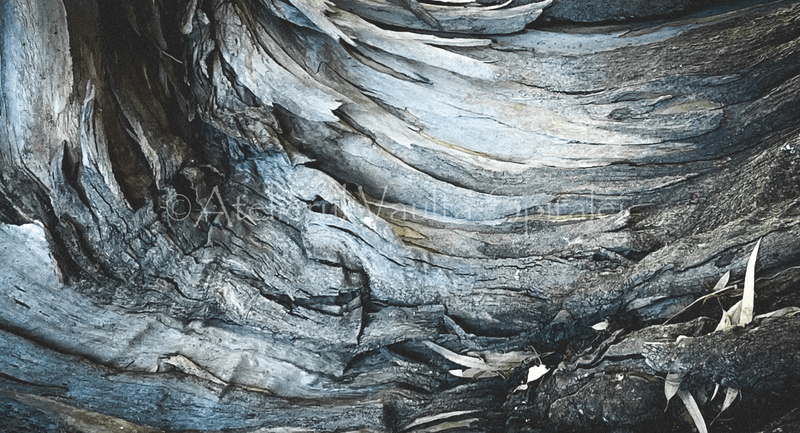 Ancient Surfaces — Whispering Grain: Pale Current