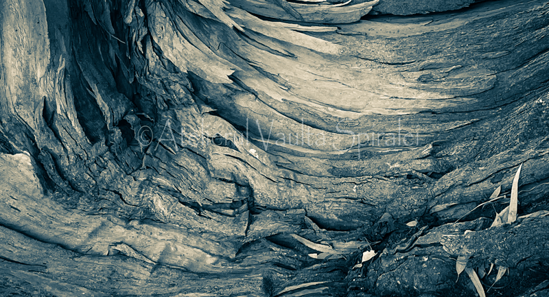 Ancient Surfaces — Whispering Grain: Stonebound Drift