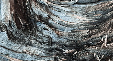 Ancient Surfaces — Whispering Grain - Complete Set