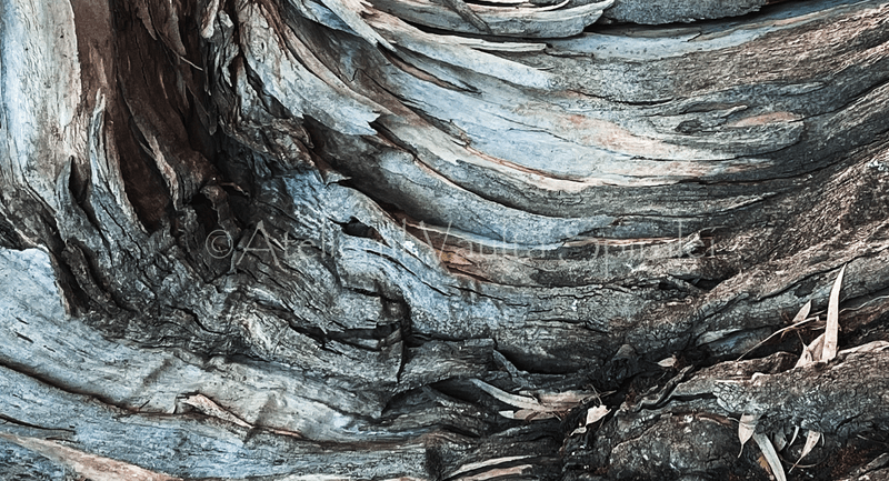 Ancient Surfaces — Whispering Grain - Complete Set