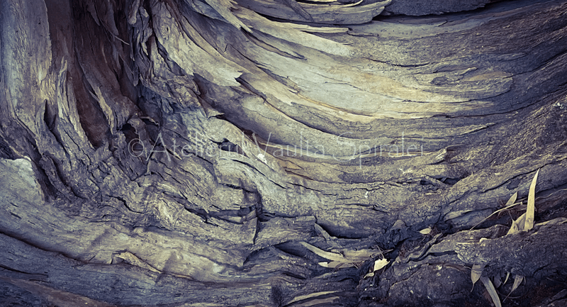 Ancient Surfaces — Whispering Grain: Fold of the Elder Bark