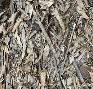 Ancient Surfaces — Fallen Archive Collection