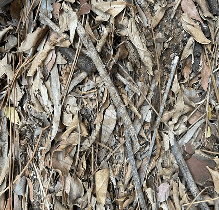 Ancient Surfaces — Fallen Archive Collection