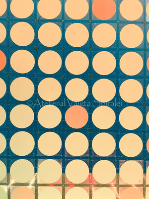 Modular Circles — Buttercream -  Pattern