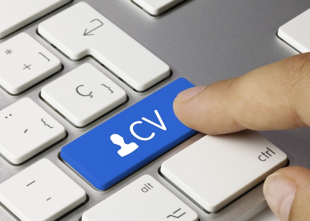 Professionally Tailored CV