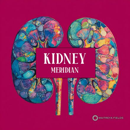 Kidney Meridian Activation (Zú Shǎo Yīn Shèn Jīng) [Dm + Audio]