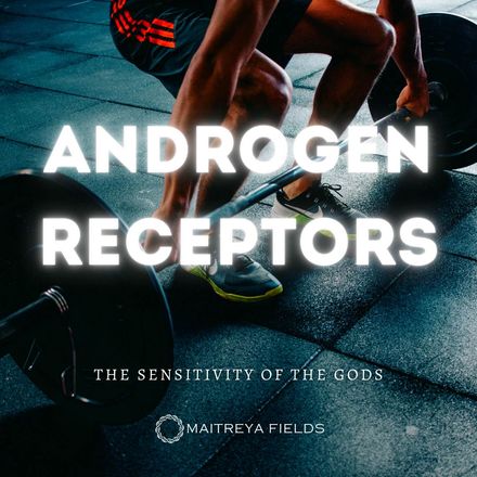 Androgen Receptors - THE SENSITIVITY OF THE GODS