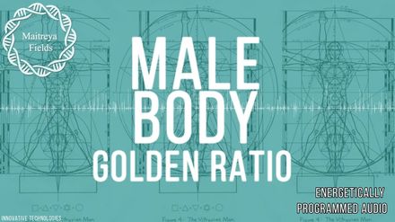 Male Body Golden Ratio