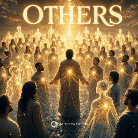 DM: Others / GY Series