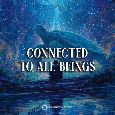 The Art of Communication [DM + Audio]