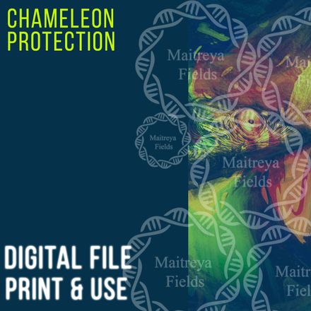 DM: Chameleon Protection - Energy Protection