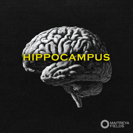 The Hippocampus [DM + Audio]