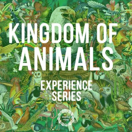 Animal Kingdom Experience Series