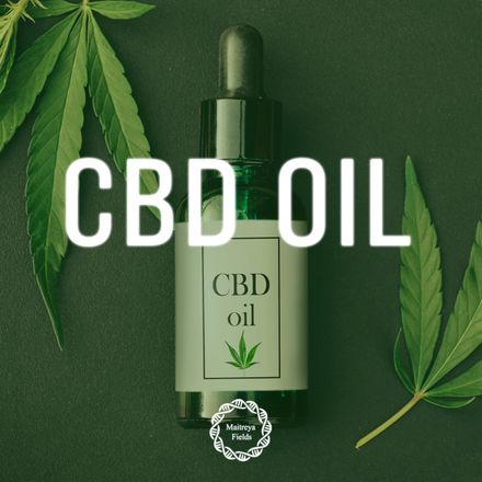 CBD Oil