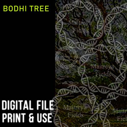 DM: Bodhi Tree