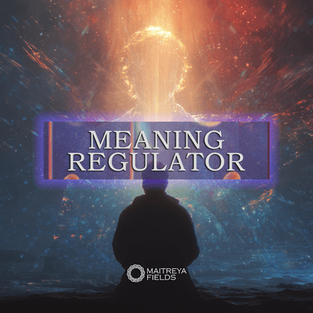 Meaning Regulator [DM + Audio]