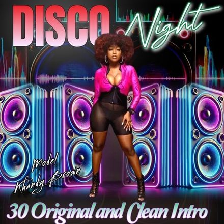 Disco Night 30 Clean,Original and Intro Tracks