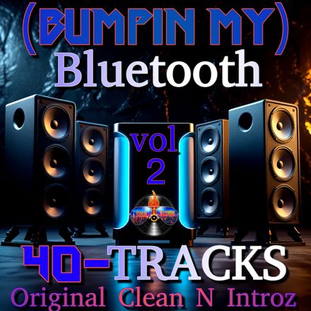 Bumpin My Bluetooth 40 TRACKS Clean N Original Introz