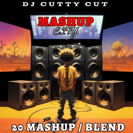 Mashup vol 2 / 20 Clean and Dirty Tracks