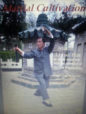 Martial Cultivation Journal Vol 1 ebook 