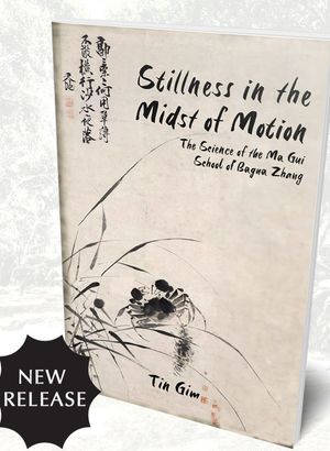Ebook - Stillness in the Midst of Motion 