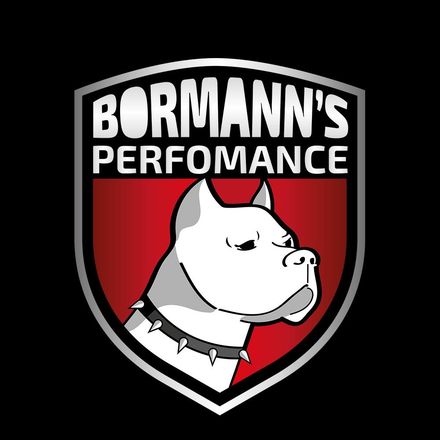 Bormanns Performance All Slav Jerry Engine Pack v2.0