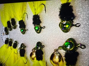 Gill chartreuse yellow and black