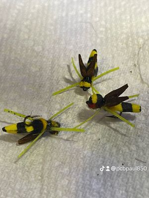 Bee pimple popper