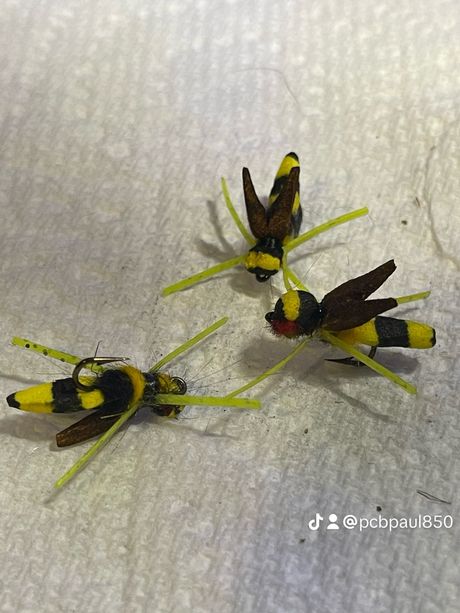 Bee pimple popper