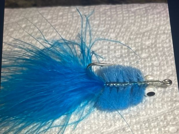 Blue (round shape)tarpon toad